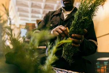 Person handling fresh plant ingredients used in natural and eco-friendly products in Kenya