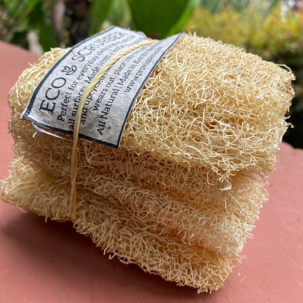 Provisions Loofah Sponge (4 pack)